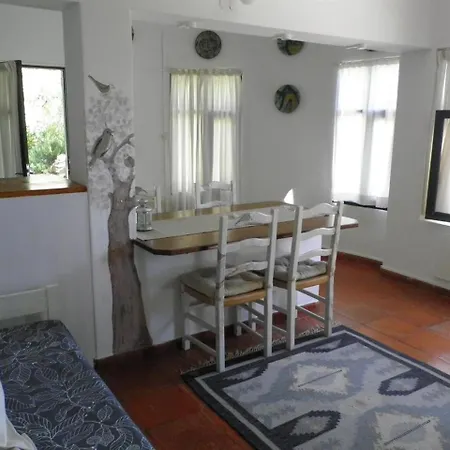 Casa Mazulis, 3 Luz
